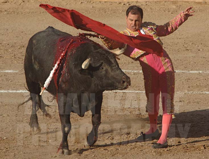 Bullfight